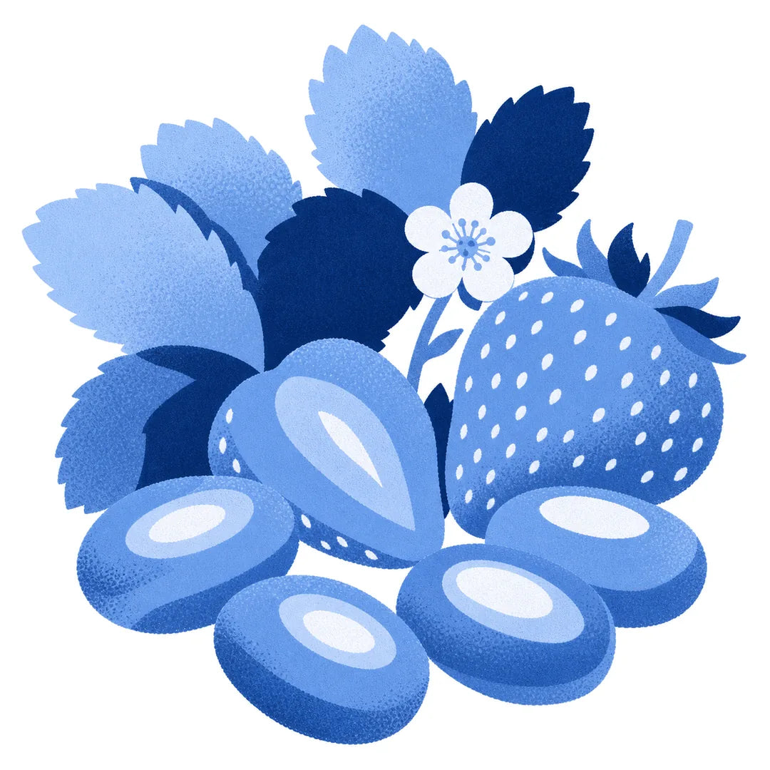 Illustration of a strawberry, its blossom and Maison Ratti boiled sweets