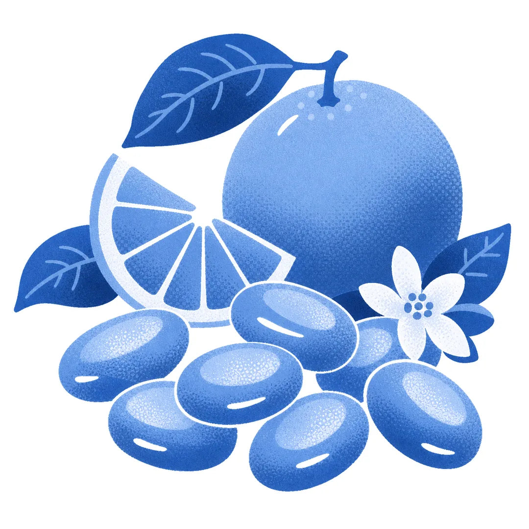 Illustration of an orange, its slice and Maison Ratti boiled sweets