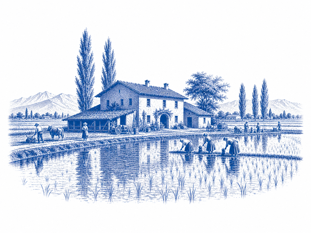 Since 1876